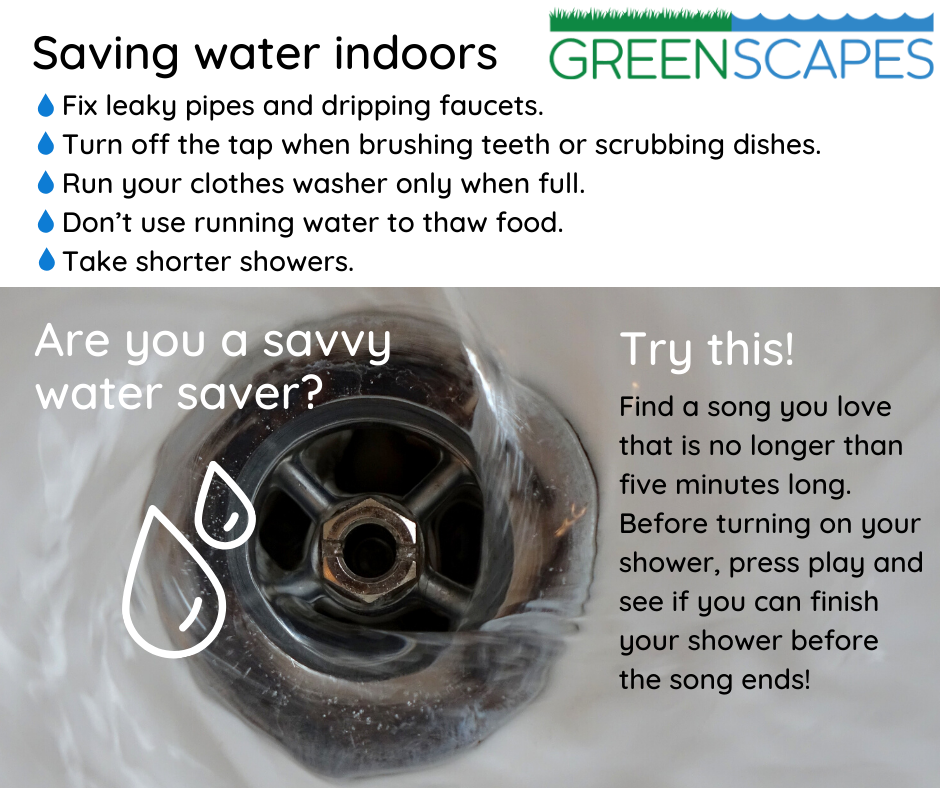 Save water indoors