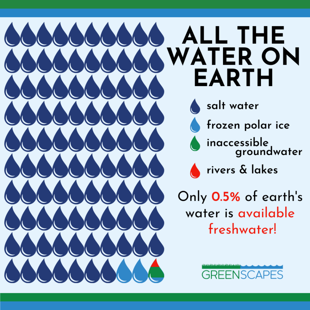 Greenscapes Saves Water!