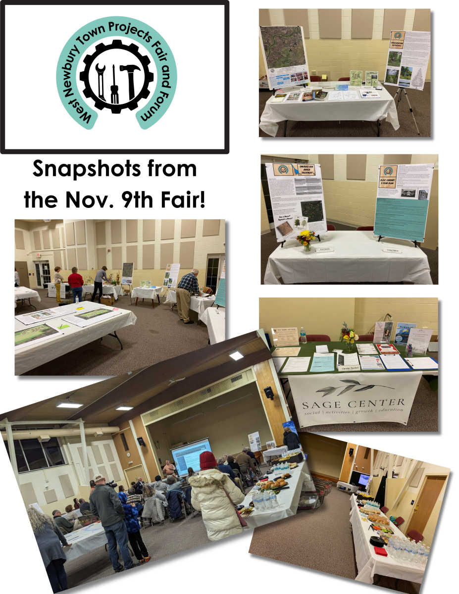 Project Fair and Forum Snapshots