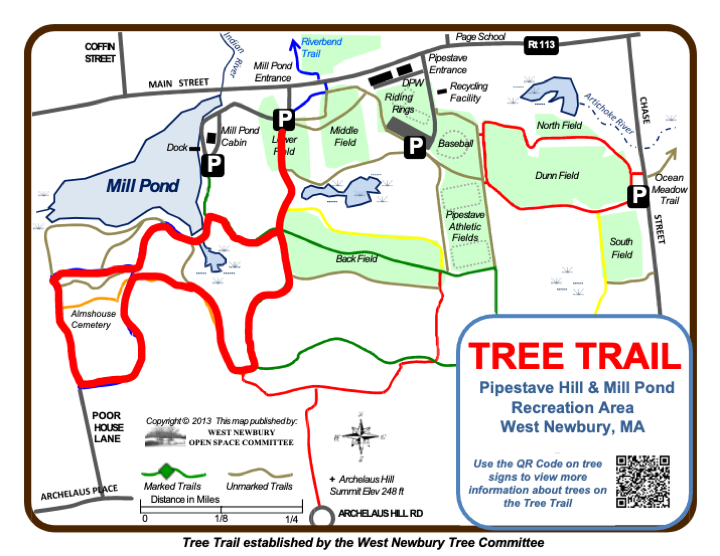 Tree Trail Map