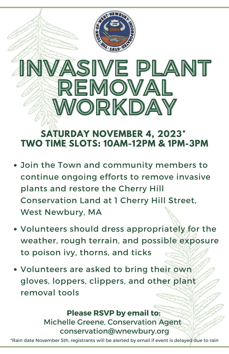 11/4/2023 invasive plant removal flyer 