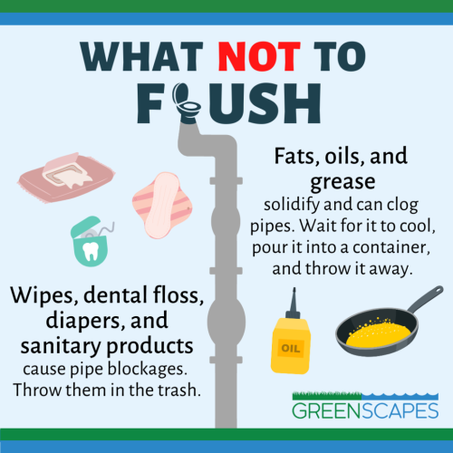 What not to flush 1 of 4