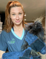 Porcupines Don't Shoot their Quills, and Other Wildlife Rescue Lessons