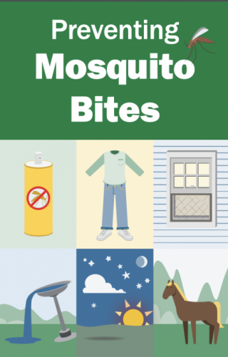 Preventing Mosquito Bites